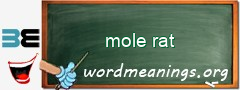 WordMeaning blackboard for mole rat